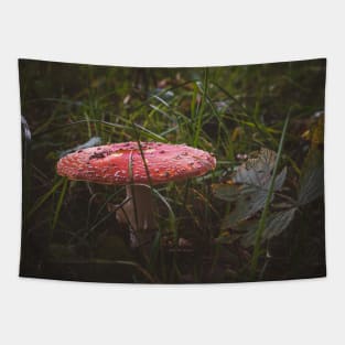 Fairy Mushroom Tapestry