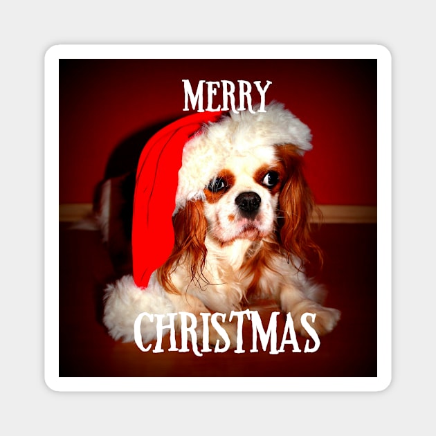 Cavalier King Charles Spaniel Merry Christmas Magnet by Wanderingangel