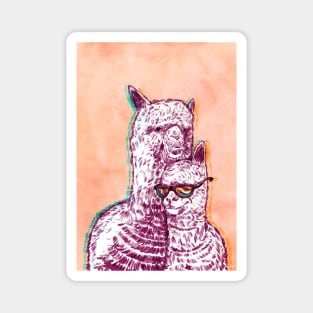 Rocking Alpacas Magnet