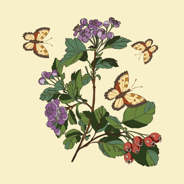 botanical illustration of a plant with berries and a butterfly by EEVLADA