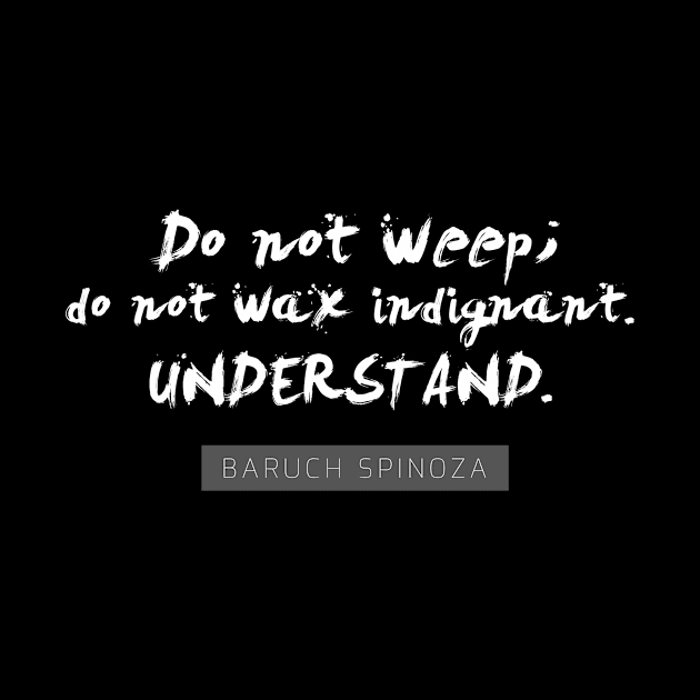Do not weep; do not wax indignant. Understand by onebadday