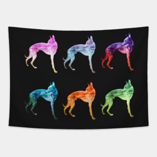 Multicoloured Whippet Waves Sticker Pack Tapestry