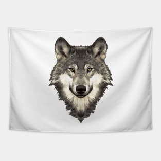 Wolfie In Gray Tapestry