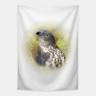 Honey buzzard Tapestry