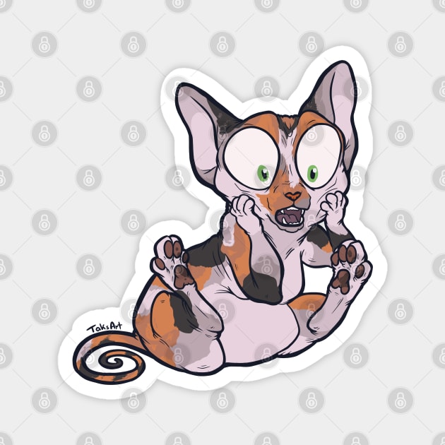 Oh My - Calico Sphynx Magnet by TaksArt