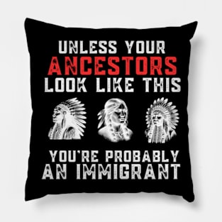 American Indian You're Probably An Immigrant Pillow