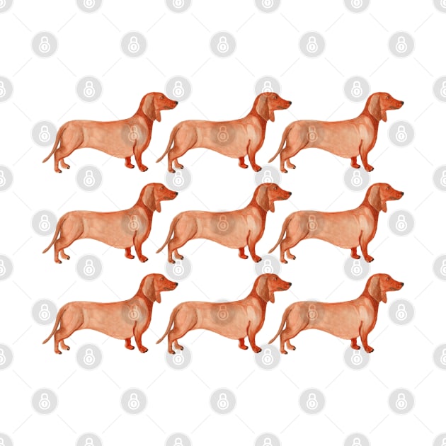 Watercolor weenie dog pattern by kuallidesigns