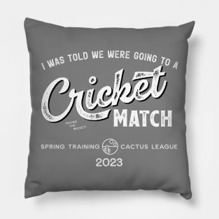 Cricket Match Spring Training Pillow