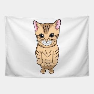 Cute Standing Cat Meme Cute Kitten Standing on Two Feet Tapestry