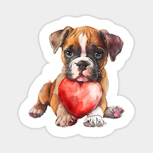 Valentine Boxer Holding Heart Magnet