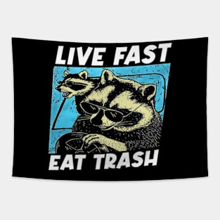 Wild Whimsy Raccoon Artistry Tee Tapestry