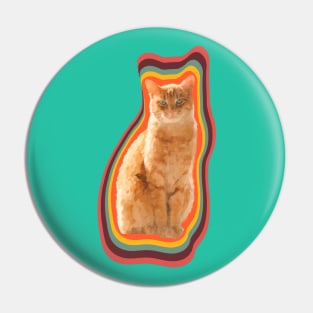 tabby cat painting Pin