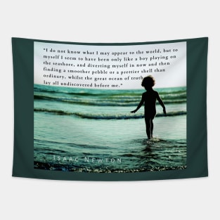 Isaac Newton quote: “I do not know what I may appear to the world, but to myself I seem to have been only like a boy playing on the seashore, and diverting myself in now and then finding a smoother pebble Tapestry