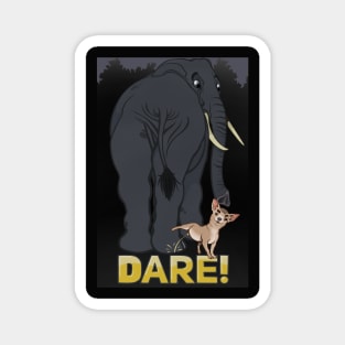 Dare! Magnet