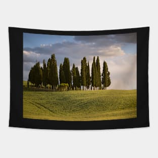 Group of cypress trees in Tuscan landscape Tapestry