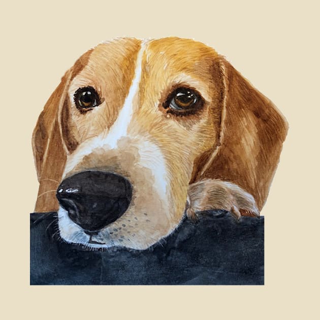 Beagle Portrait Watercolor by MMcBuck