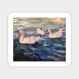 Ducks on water Magnet