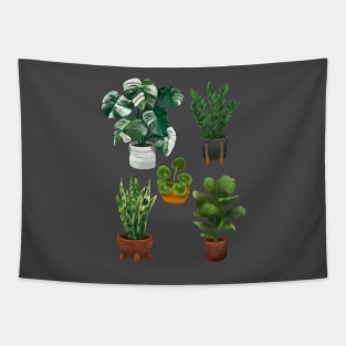 Modern House Plants in Pots Collection Tapestry