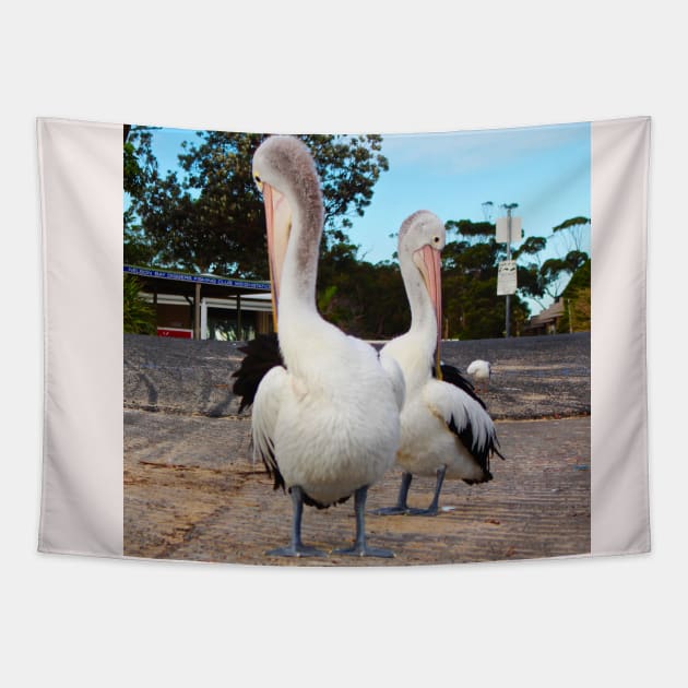 Two Pelicans Tapestry by Mickangelhere1