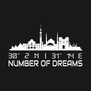 Cairo Skyline Gps Coordinates Egypt T-Shirt