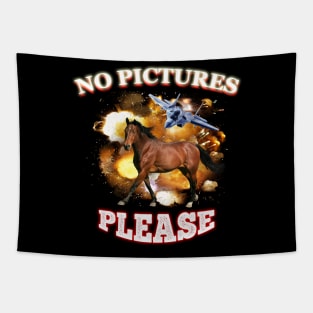 No Pictures Please Tapestry