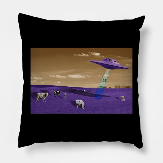 abduction Pillow by laniartsss