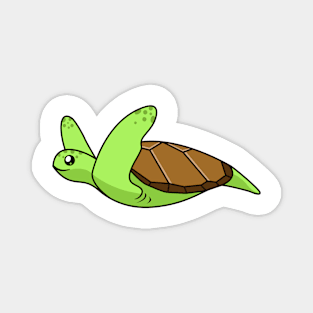 turtle Magnet