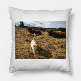 Scottish Highland Cattle Cows and cat 2360 Pillow