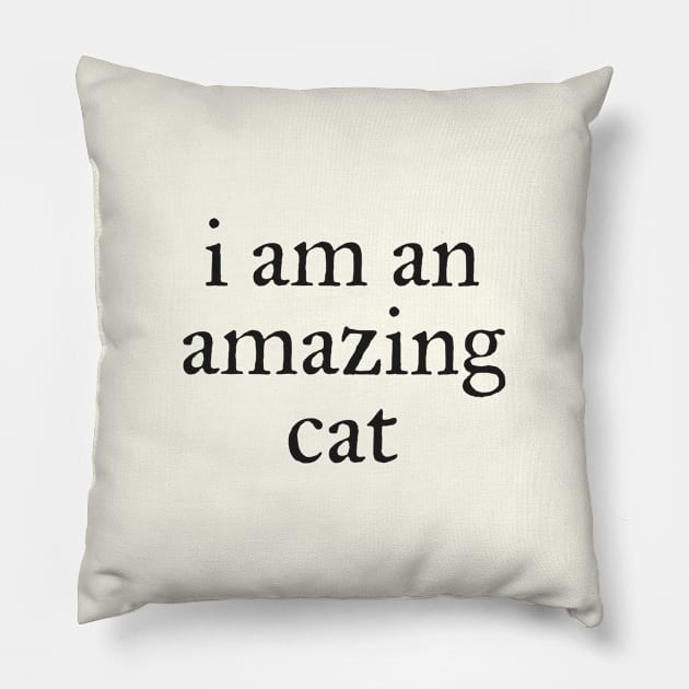 I am an amazing cat Pillow by helengarvey