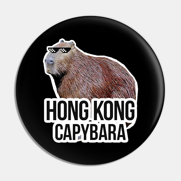 Hong Kong capybara meme Pin by NeedsFulfilled