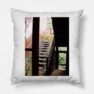 A Path In The Wild Pillow