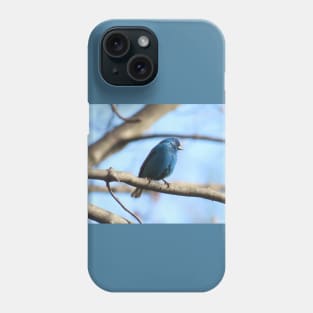 Indigo Bunting No.7 Phone Case