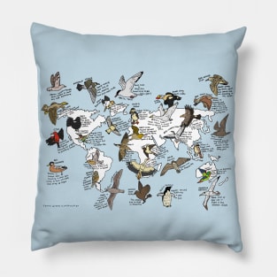 Bird migration map Pillow