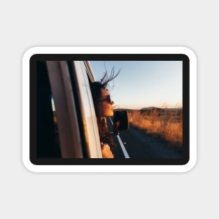 Road Tripping - Beautiful Woman Sticking Head Outside Car Window While Driving Magnet