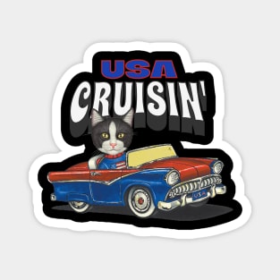 Cute kitty cat cruisin' with a classic car through the USA Magnet