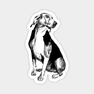 beagle Magnet