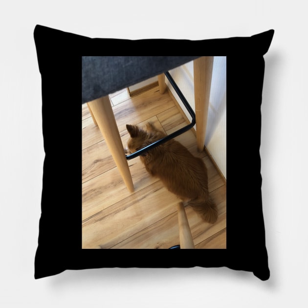 Vrai chien de maison Pillow by JacyntheGag