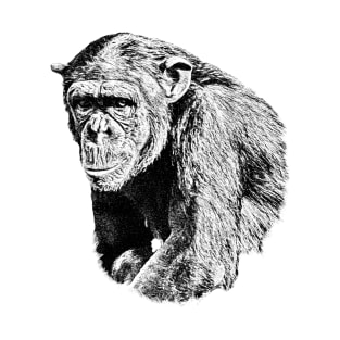 Chimpanzee T-Shirt