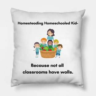 Homeschool Kid Pillow