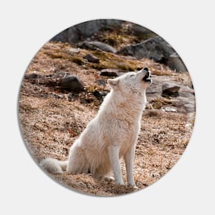 Arctic Wolf Howling Pin