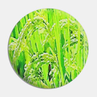 close-up green rice grain Pin