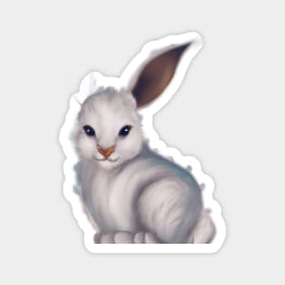 Cute Hare Drawing Magnet