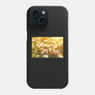 Camomile in the meadow Phone Case