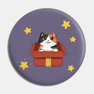 Calico Cat In Gift Box Pin