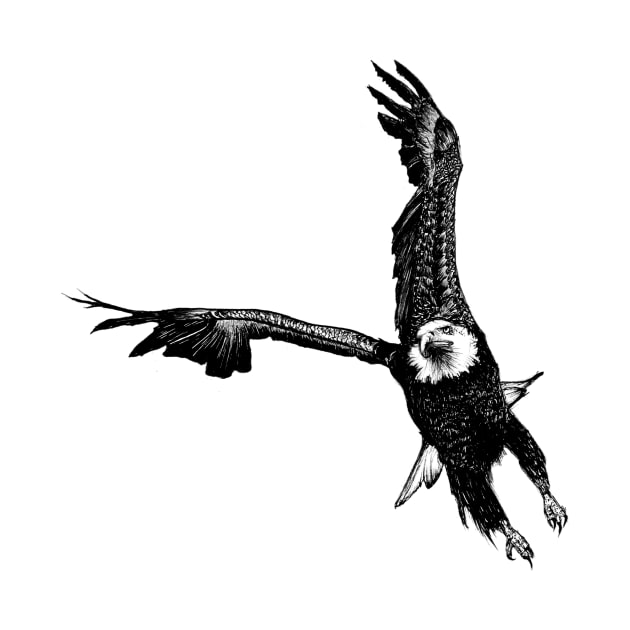 Flying Eagle - bald eagle black & white by EWART