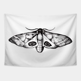 Dramabite Vintage moth illustration Tapestry