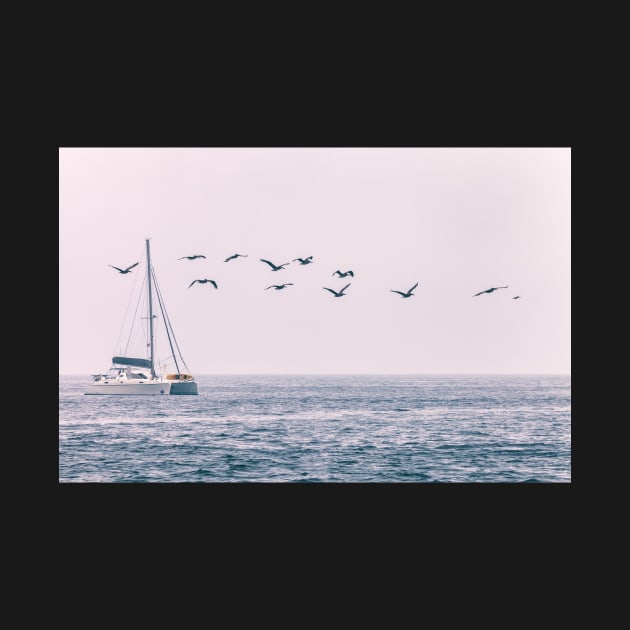 Boat and Pelicans by jvnimages