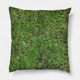 Grass field texture Pillow