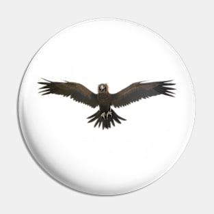 Australian Eagle Pin