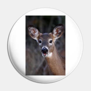 Well hello there! - White-tailed Deer Pin